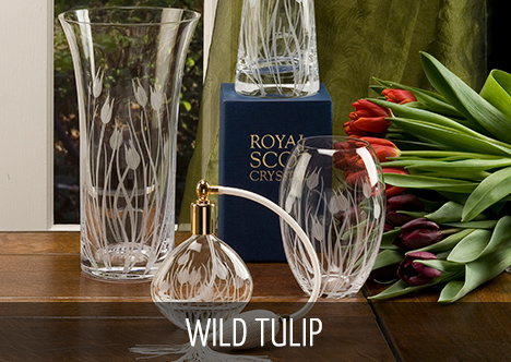 Royal Scot Crystal - Wild Tulip